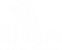 Bleem Intl