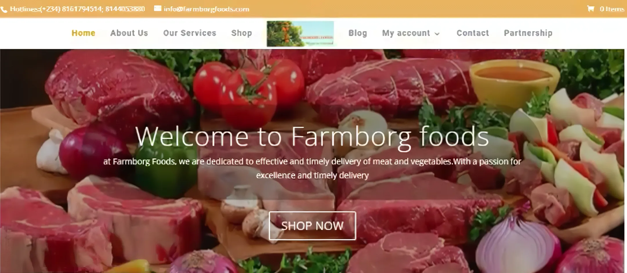 FARMBORG'S OLD WEBSITE